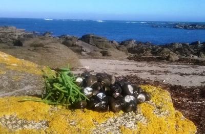  l'île d'Yeu ou vous dégustez un repas fruits de mer chambre d'hote